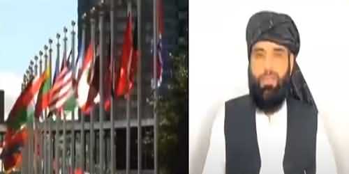 Taliban Nominated Suhail Shaheen As Their Ambassador In United Nation