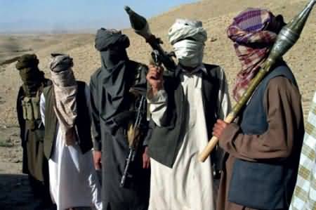 Taliban Once Again Offer The Govt To Proceed Dialogue