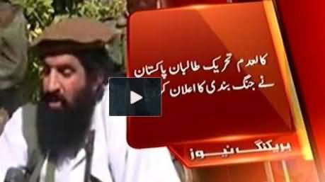 Tehreek e Taliban Announced Ceasefire For One Month