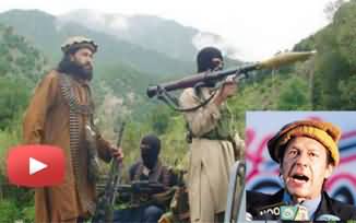 Tehreek e Taliban Thanked Imran Khan and Refused the Offer of Opening Office in Pakistan