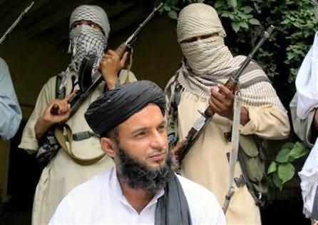 Tehreek Taliban Punjab Surrneder & Announce to Stop Its Attacks in Punjab