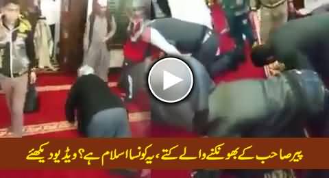 The Dogs of Peer Sahib, What Kind of Islam Is This? Watch This Shameful Video