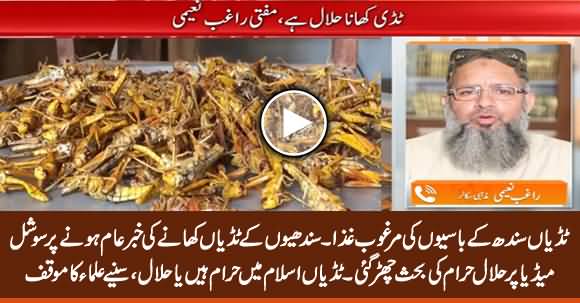 The Grasshoppers Are Being Used as Food in Tharparkar