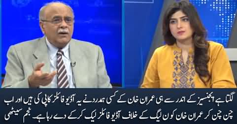 The hacker seems to be an agency insider who is a supporter of Imran Khan - Najam Sethi