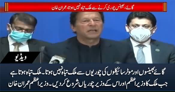 Theft of Cows, Buffalos And Motorcycles Cannot Destroy A Country - PM Imran Khan
