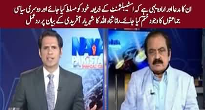 Rana Sanullah's views on Shehryar Afridi's statement about negotiations with army 