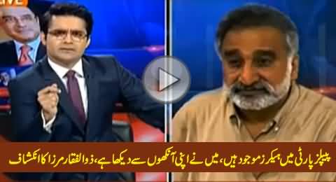 There Are Computer Hackers in PPP Who Can Hack Any Account - Zulfiqar Mirza