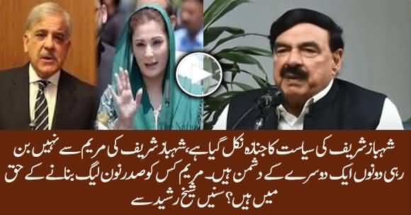 There Are Huge Differences Between Maryam And Shehbaz Sharif - Sheikh Rasheed Ahmad