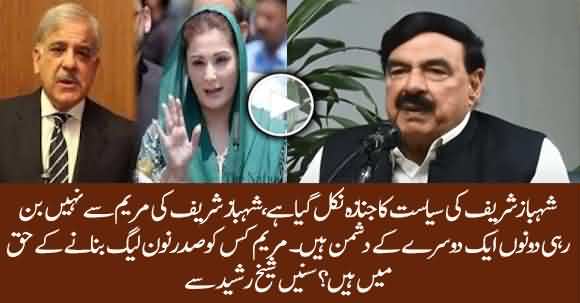 There Are Huge Differences Between Maryam And Shehbaz Sharif - Sheikh Rasheed Ahmad