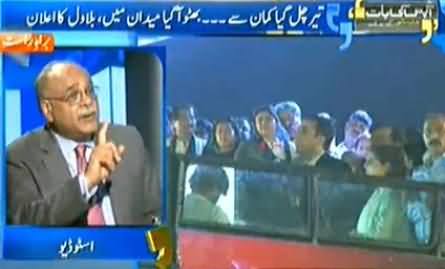 There Are No Jiyalas in PPP, Now Jiyalas Can Be Seen Only in PTI Jalsas - Najam Sethi