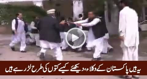 These Are The Lawyers of Pakistan, Watch How They Are Fighting