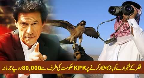 This is Change: A Qatar Prince is Fined Rs. 80,000 By KPK Govt on Being Caught with 3 Falcons