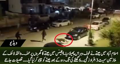 Three injured due to leopard's attack in DHA Islamabad