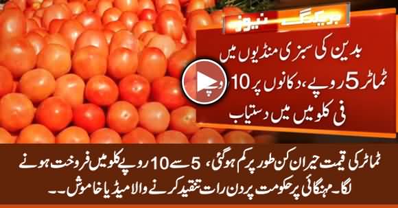 Tomatoes' Skyrocketing Prices Start Decelerating, Being Sold At 5 to 10 Rs Per KG