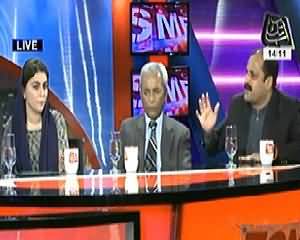 Tonight with Jasmeen (Pure Mulk Mai Security k Sakht Intazamaat!) - 14th November 2013