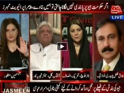 Tonight With Jasmeen (Why Govt Wants To Save Geo) - 28th May 2014