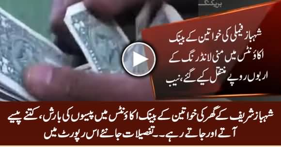 Transactions of Billions Rupees in Bank Accounts of Shahbaz Sharif's Family Women - NAB Sources