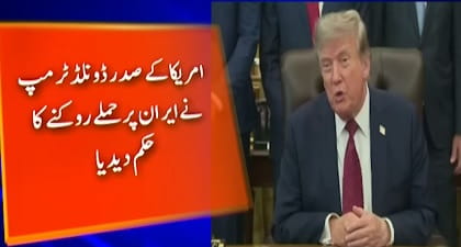 Trump orders US military to temporarily halt strikes on Iran