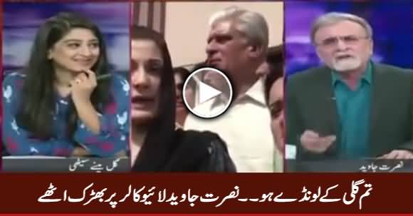 Tum Gali Ke Launde Ho - Nusrat Javed Gets Hyper on Live Caller