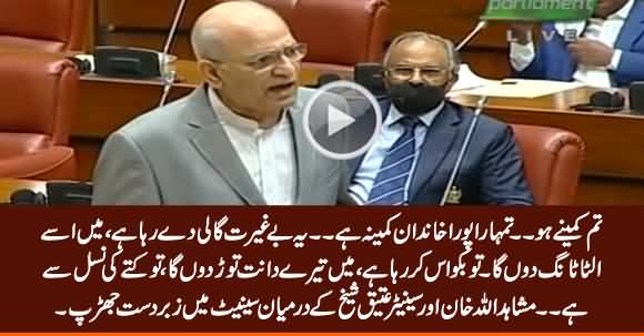 Tum Kutte Ki Nasal Se Ho - Intense Fight Between Mushahidullah Khan & Ateeq Sheikh in Senate