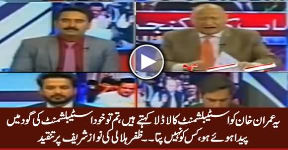 Tum To Khud Establishment Ki Goud Mein Paida Huwe - Zafar Hilaly Bashing Nawaz Sharif