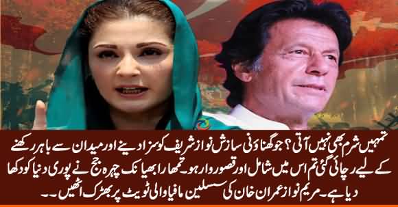 Tumhein Sharam Nahi Aati - Maryam Nawaz Got Angry on Imran Khan's Tweet