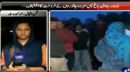 Two Persons Arrested From Lahore For Selling The Meat of Horses, Dogs & Donkeys