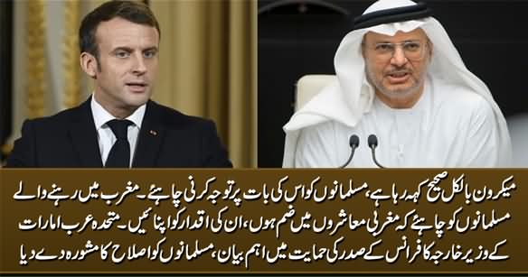 UAE Minister Supports French President & Suggests Western Muslims To Integrate in Western Societies