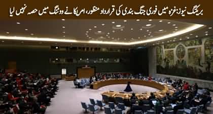 UN Security Council passed resolution calling for ceasefire in Gaza, America didn't participate in voting