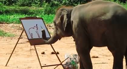 Unbelievable: Elephant paints her own picture on canvas