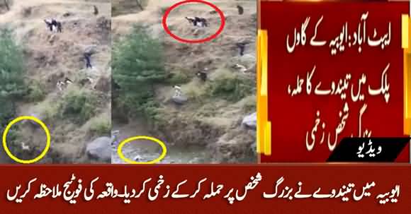 Video - Leopard Attacks An Old Man in Village of Ayubia
