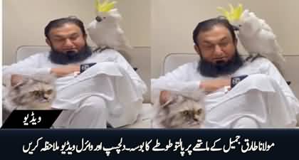 Video of a parrot kissing at Maulana Tariq Jameel's forehead goes viral