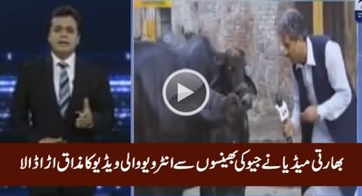 Video Viral In India That Pakistani Geo News Reporter Interview a Buffalo