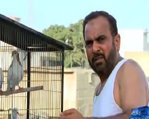 Wardaat (Crime Show) on Samaa News – 22nd July 2015