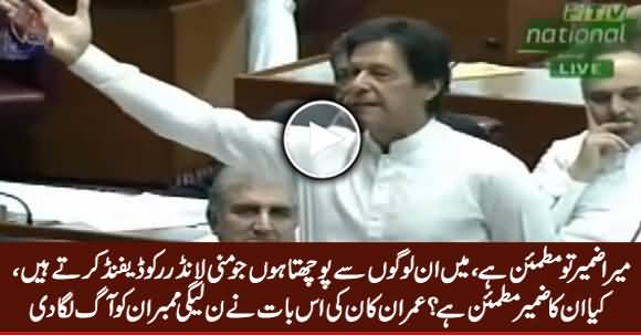 Watch How Imran Khan Made PMLN Members Angry In Assembly