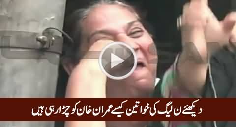 Watch How PMLN Women Teasing Imran Khan & PTI Supporters