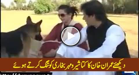 Watch Imran Khan's Dog Sheru Annoying Mehar Bukhari During Interview (Old Video)