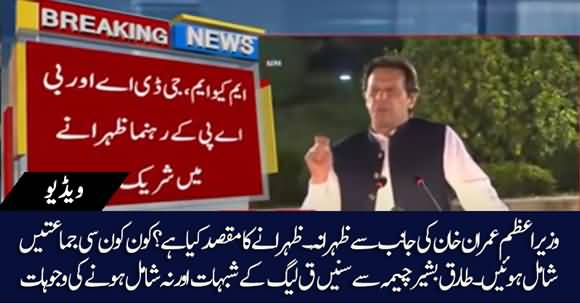 Why PMLQ Didn't Attend Luncheon Given by PM Imran Khan - Tariq Basheer Cheema Tells