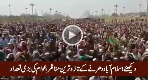 Watch Latest View of Islamabad Dharna, A Great Number of People Gathered