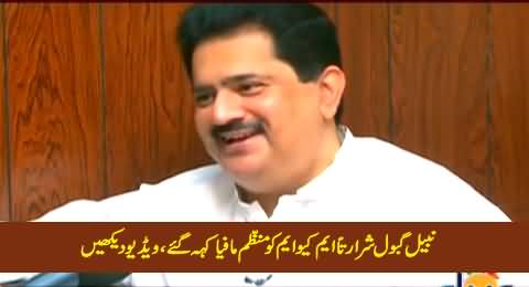 Watch Naughty Smile on Nabil Gabol's Face After Declaring MQM An Organized Mafia By Mistake
