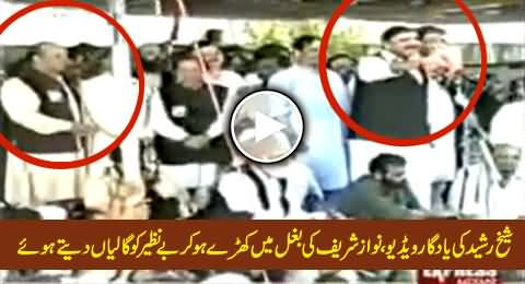 Watch Rare Video of Sheikh Rasheed Abusing Benazir Bhutto From the Stage of Nawaz Sharif