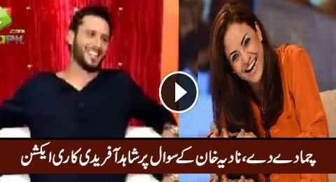 Watch Reaction Of Shahid Afridi When Nadia Khan Asked About Chumma (Kiss)