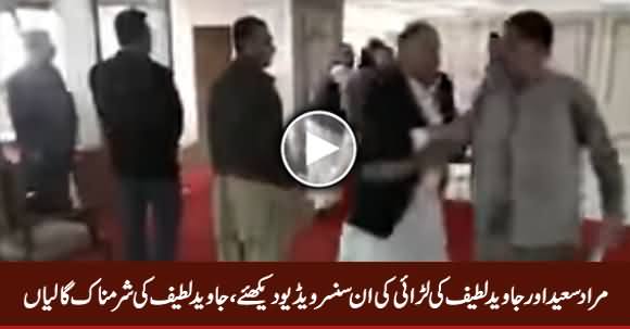 Watch Uncensored Video of Mian Javed Latif And Murad Saeed's Fight