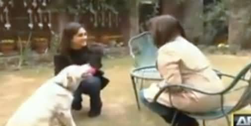 Watch What Meera Sethi's Dog Did With Javeria