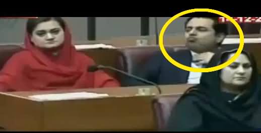 Watch What Talal Chaudhry Doing in Parliament, Caught on Camera