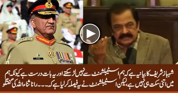 We Don't Have Strength To Fight With Establishment - Rana Sanaullah