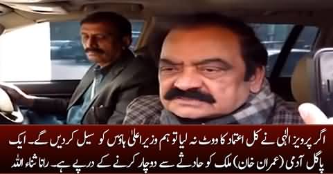 We'll seal CM house if Pervaiz Elahi doesn't get vote of confidence tomorrow - Rana Sanaullah