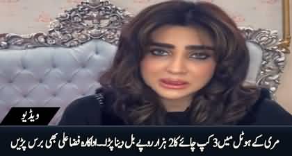 We paid two thousand rupees for three cups of tea in Murree - Fiza Ali blasts