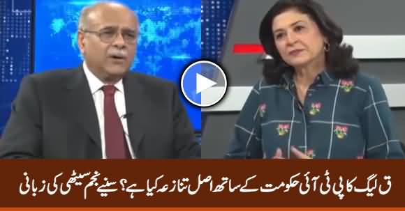 What Are The Real Differences Between PMLQ And PTI Govt - Najam Sethi Reveals