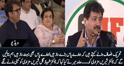 What Hamid Mir said about Shireen Mazari that Dr. Shahbaz Gill tickled her with his elbow?